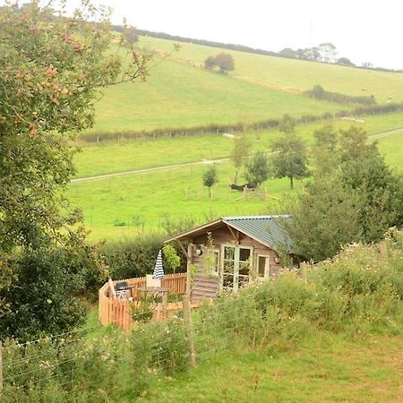 Woolcombe Cabin East Allington Exterior foto